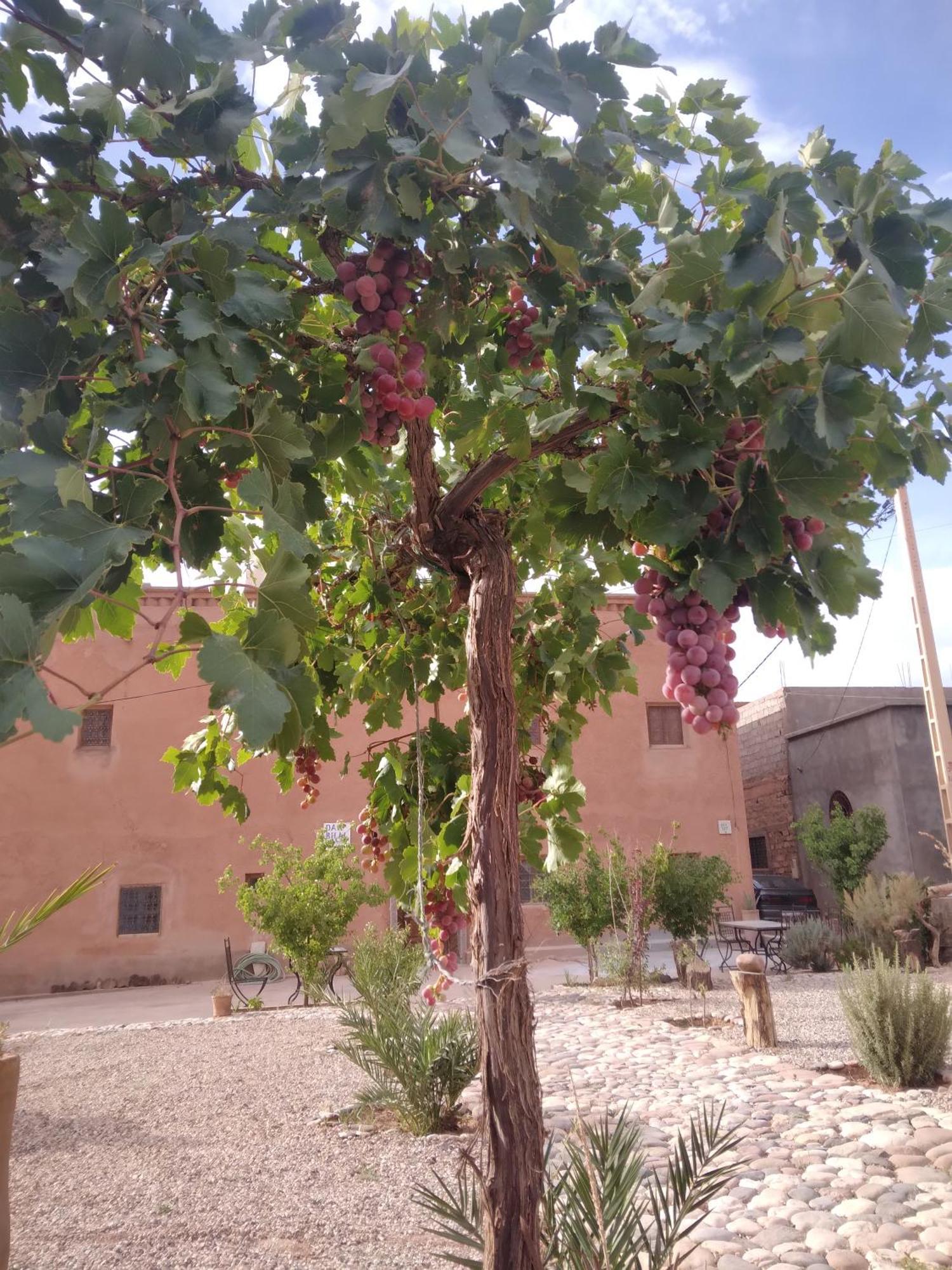 Dar Bilal Hotel Aït Benhaddou Exterior photo